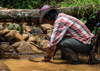 Minería subsistencia