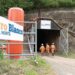 Bluestone continúa desarrollando proyecto aurífero guatemalteco