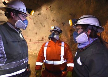 Protocolo Unificado de bioseguridad para pequeña minería