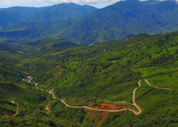 Fruta dale norte de SolGold