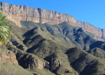 Discovery metals en mexico