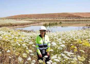 Enfoque verde para la minería