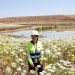 Enfoque verde para la minería
