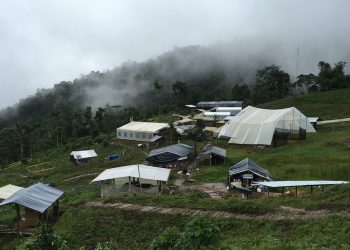 Proyecto Cascabel de SolGold