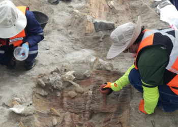Restos arqueológicos en quebrada blanca