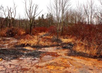 Los científicos encuentran una forma eficiente de extraer tierras raras del drenaje ácido de una mina