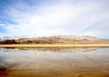 Albemarle cerrará dos instalaciones de litio en EE. UU.