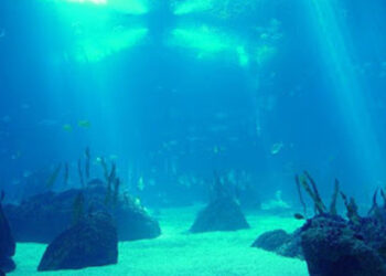 Tecnología GSR en expedición al Pacífico