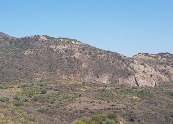 Los ricos de GoGold resources