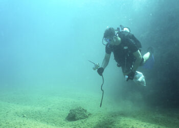 Proyecto de Odyssey Marine