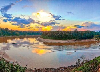 Lucha contra la minería ilegal en madre de Dios