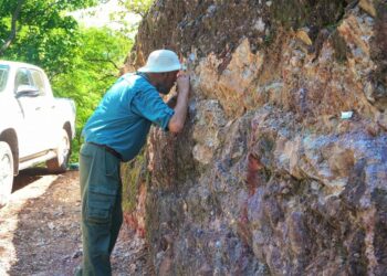 Proyecto los reyes de prime mining