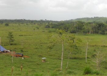 Eastern Borosi de Calibre Mining