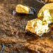 Mineras de oro