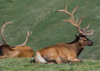 Tecnología: Mining and the environment: the biggest conservation projects in mining