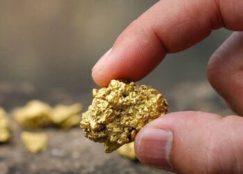 Haywood lifts gold price forecasts