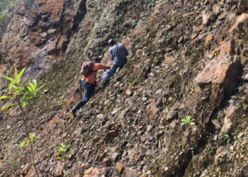 Fenixoro gold recibe autorización para proyecto abriaqui