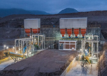 Planta veta dorada dynacor