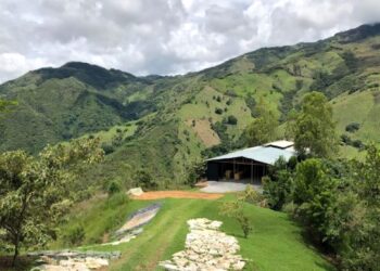 Newmont y agnico se unen en colombia