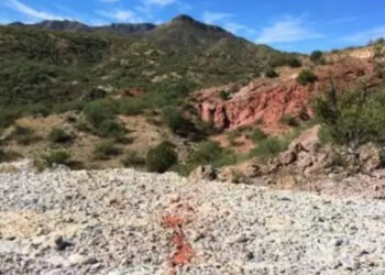 Proyecto cumaro de redstar