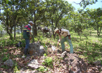 First Majestic Silver en vender activos en México a Apollo
