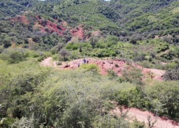 Colibri to sell 50% of gold  Sonora project to Silver Spruce