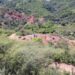 Colibri to sell 50% of gold Sonora project to Silver Spruce