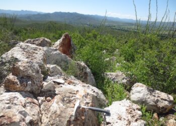 Rodeo de Golden minerals