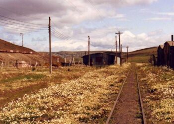 Proyecto Virginia en Santa cruz