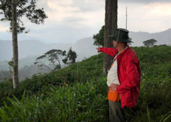 Aurania to expand from Ecuador to Peru