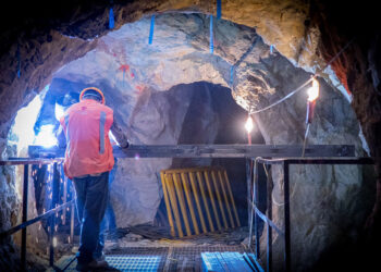 Las chispas de silvercrest