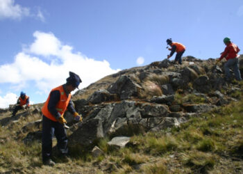 Proyecto San Martín