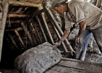 Formalización minera incrementa en 40%