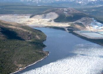 Vale y tesla conversan