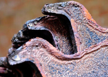 El cobre en camino a tocar máximos