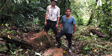 Aurania finds road that may have connected ancient mining towns in Ecuador