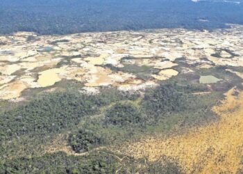Minería en madre de Dios