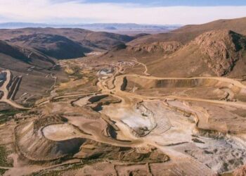 Proyecto chinchillas