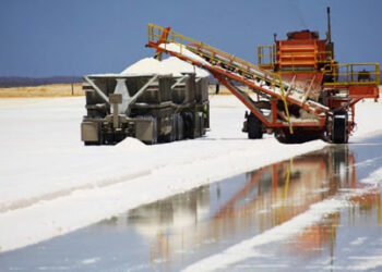 Proyecto Mariana en argentina