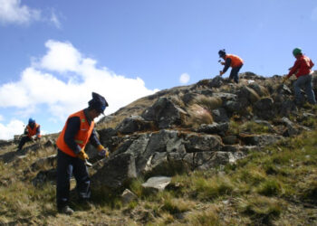 Proyecto San Martín