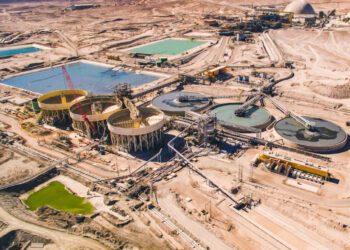 Sindicato de centinela