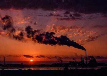 Emissions to drop 6% this year due to pandemic