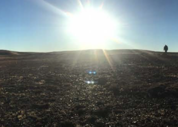 Austral Gold expands in Argentina