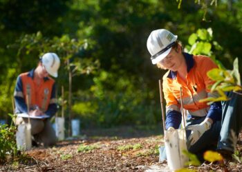 Hatch, Anglo, BHP, and Fortescue form Green Hydrogen consortium