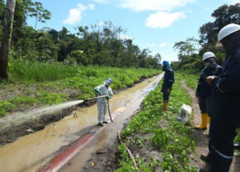 Remediación ambiental