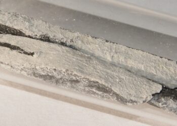 Extracción de iones de litio