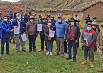 Desbloqueo las bambas