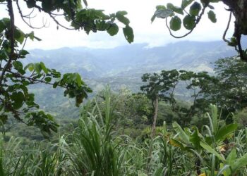 Max resource en colombia