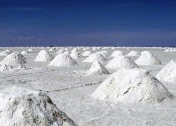 Argentina reservas de litio