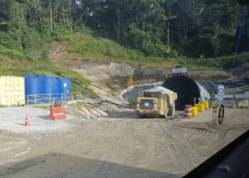 Fruta dele norte producción